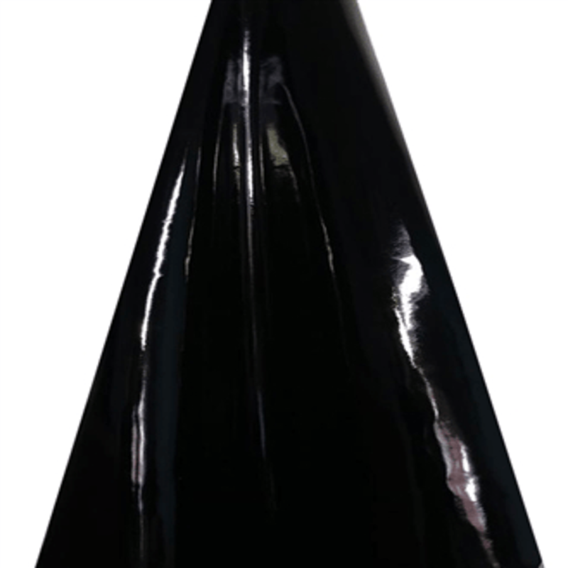 Black Shiny Leather